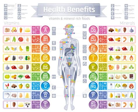 Vector Mineral Vitamin Supplement Icons Health Benefit Flat Vector