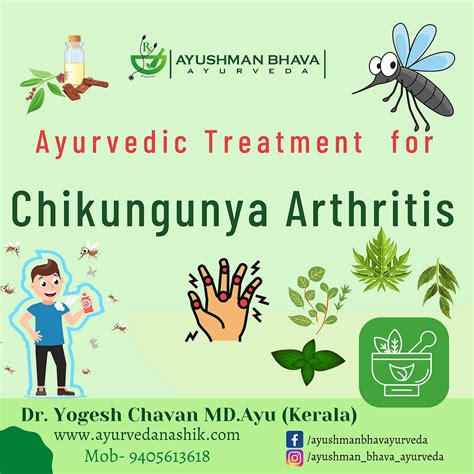 Chikungunya Arthritis Symptoms Causes And Ayurvedic Treatmentdr