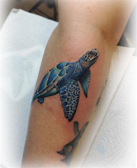 Top 81 Best Small Turtle Tattoo Ideas 2020 Inspiration Guide Ninja