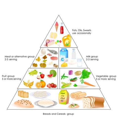 Balanced Diet Chart For Toddlers A Complete Guide