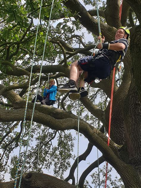 Discover Tree Climbing Recreational Tree Climbing