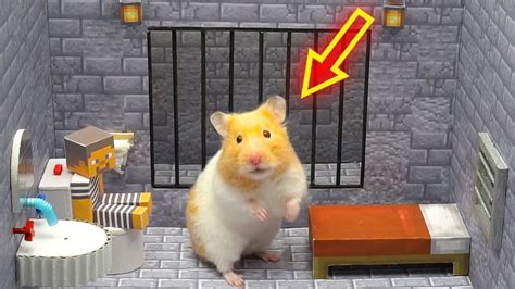 Minecraft But Hamster Escapes Prison Maze In Real Life Youtube