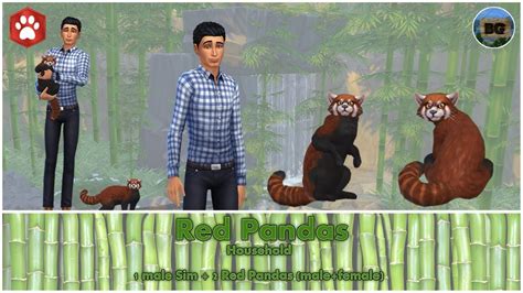 Bakies The Sims 4 Create A Pet Red Panda 🐼 Youtube