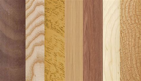 A Guide To The Most Common Hardwoods Makers Central Members Area