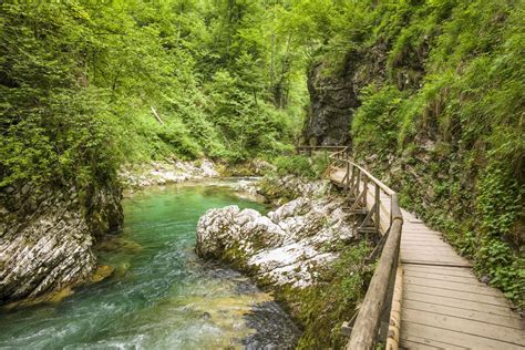 Sloveniavintgar Gorge Walkway