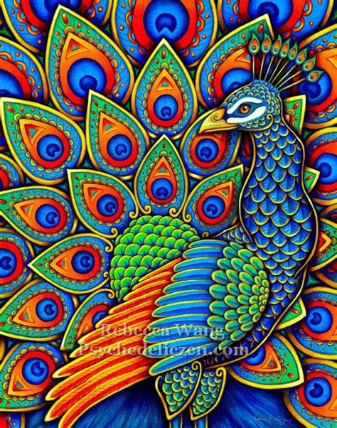 Art Print Colorful Paisley Peacock Rainbow Bird Giclée Print Etsy