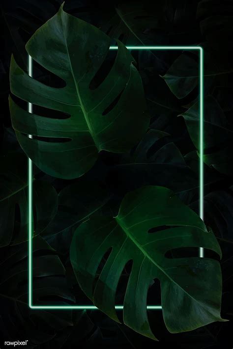 Premium Vector Of Rectangle Green Neon Frame On Tropical Tropical
