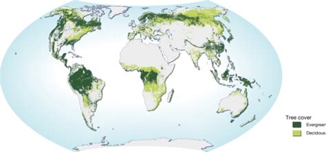 World Map Of Forest Distribution Natural Resources Forests Grid