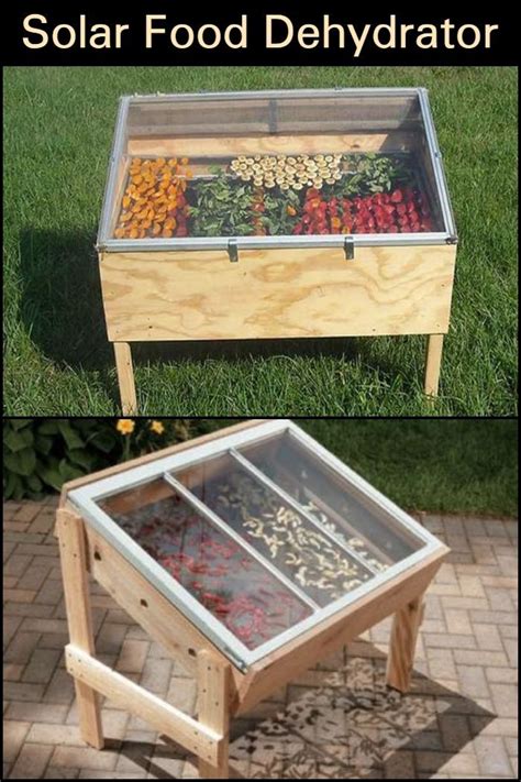 How To Build A Solar Food Dehydrator The Owner Builder Network Solar Dehydrator Dehydrator