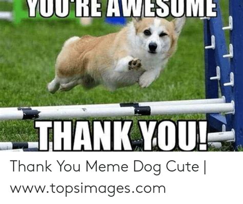 Thank You Your Awesome Meme