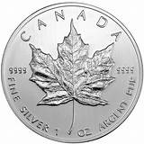 Photos of Canadian Maple Leaf Silver Coins For Sale