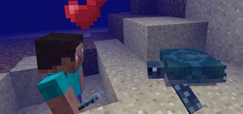 How To Tame Sea Turtles In Minecraft Turtles Have A ‘home Beach