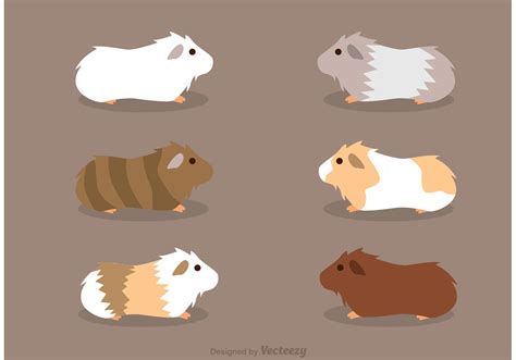 Cute Guinea Pig Vector Art Icons And Graphics For Free Download