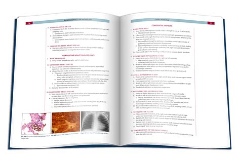 Fundamentals Of Pathology Chinook Design Inc