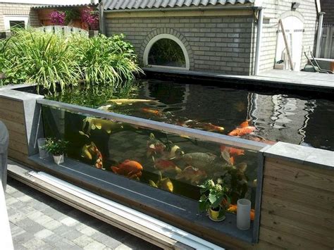 Captivating Amazing Tips Your New Aquarium Decorations Pond Design
