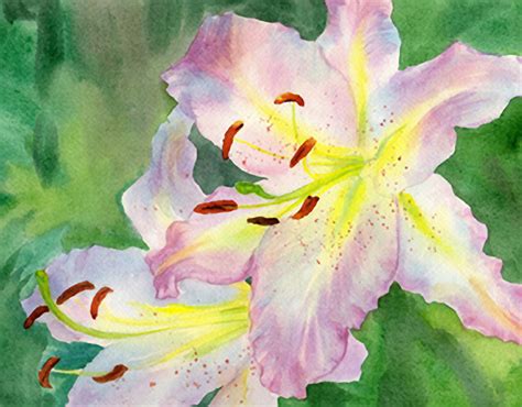 Hang this painting up in your study to evoke a sense of curiosity in the onlooker. Painting Lily Flowers - WatercolorPainting.com