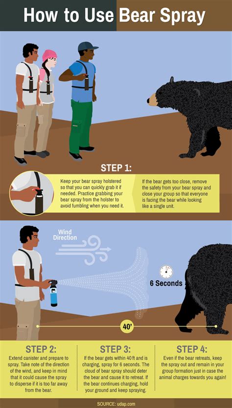 Getting To Know Bears Be Bear Aware Bear Safety Camping And Hiking