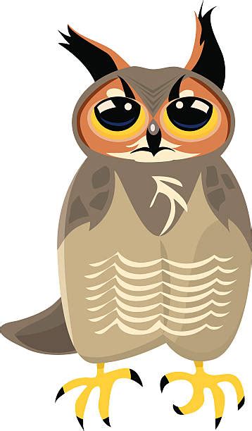 Best Great Horned Owl Illustrations Royalty Free Vector Graphics
