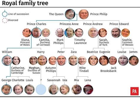 L'arbre généalogique de la famille royale d'angleterre. Everything we know about Harry and Meghan's royal baby boy ...