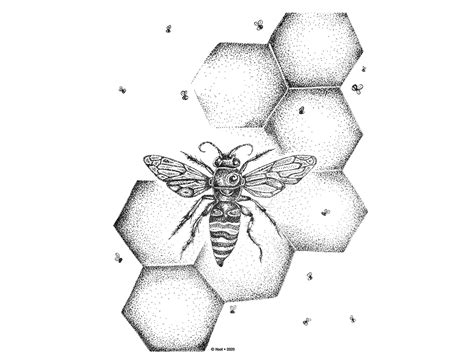Pen And Ink Stipple Illustration Of Bees And Honeycomb By Jen Borror
