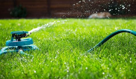 Best Time To Water Grass Lawn Watering Tips Gilmour