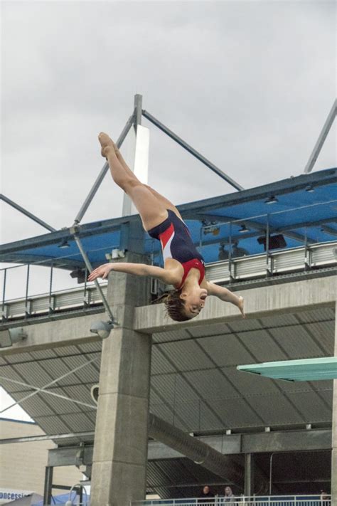 Greenwich Ymca Diver Heading To World Junior Diving Championships