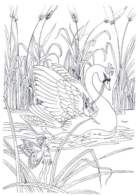 Swan Coloring Coloring Pages