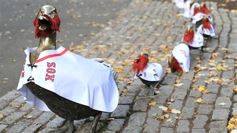 Iconic Boston Ducklings Are Wearing Pats Jerseys