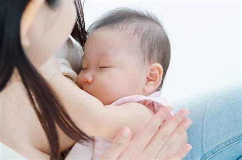 Breastfeeding Myths 10 Most Common Myths Debunked Bellybelly