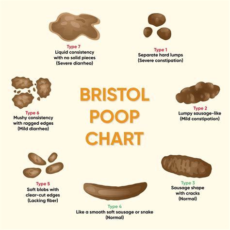 Identifying Types Of Poop With The Bristol Stool Chart And 60 Off