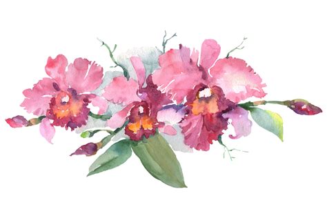 Branch Of Pink Orchids Watercolor Graphic By Mystocks · Creative Fabrica