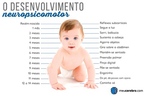 Acompanhamento Do Desenvolvimento Do Bebê Clia Psicologia