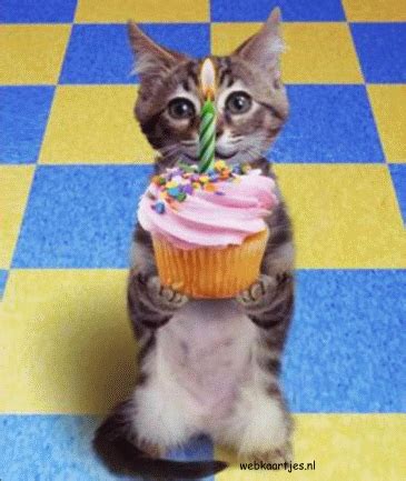 Dagelijks zijn wij actief op de veiling van jouwveilingen met het aanbieden van allerhande producten. taart in vorm van kat - Google zoeken | Verjaardag katten ...