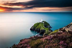 Landscape, Wales, Lighthouse, Flowers, Coast, Sea, Uk