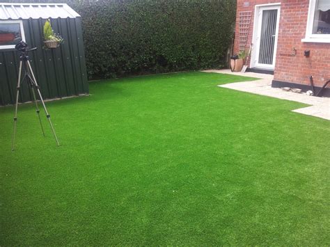 low maintenance lawn for pets — Amazon Landscaping and ...