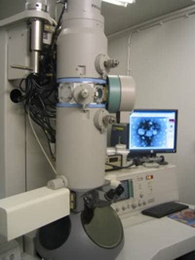 Electron Microscopy Ucl School Of Pharmacy Ucl University College