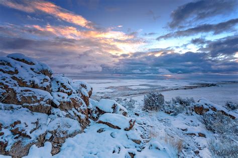 Winter On Antelope Island By Tdeitrick