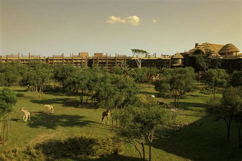 Disneys Animal Kingdom Villas Kidani Village Redweek