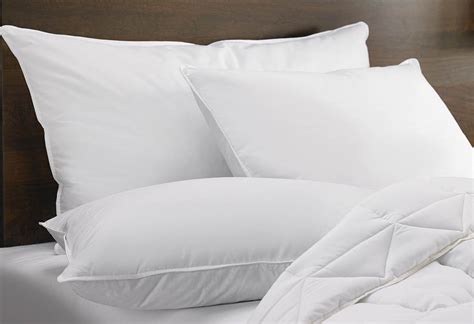 What are down pillows made of? Canadian white snow goose down pillow | Home & Yacht Linen ...