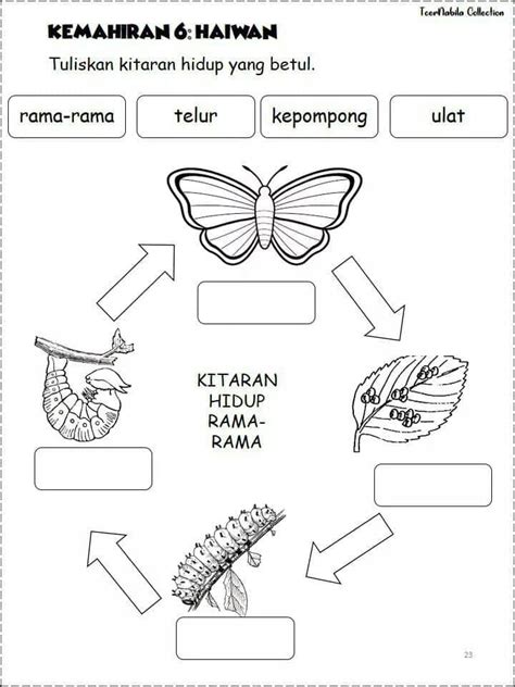 Kitaran Hidup Rama Rama Tahun 2 Añadir A Mis Cuadernos 0 Descargar