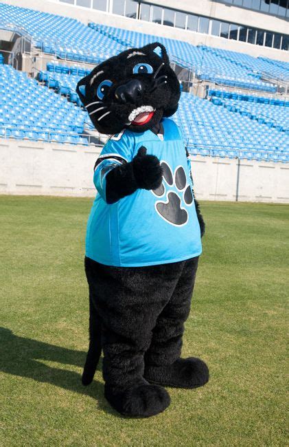 View 24 Carolina Panthers Mascot Greatblackgraphic