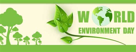 4 hrs ago yami gautam stuns in her orange suit for mehendi; World Environment Day - Ways to save the environment