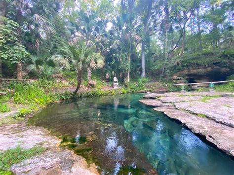 tips for kelly park rock springs the perfect florida oasis florida trippers