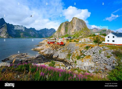 Panorama View Mountain And Sea At Hamnoy Village Lofoten Norway Stock