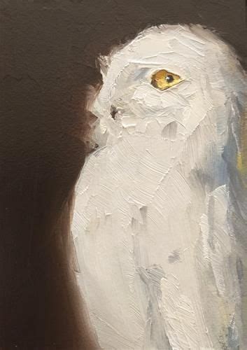Daily Paintworks Snowy Owl Profile Original Fine Art For Sale