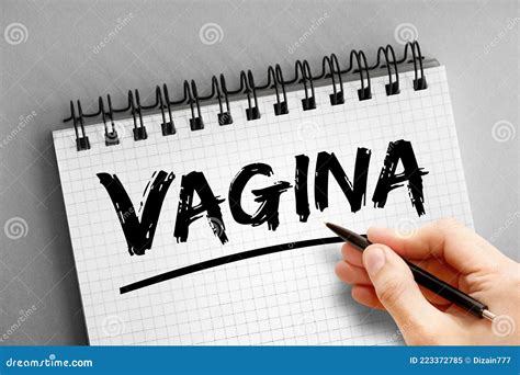 Texto De Vagina Sobre El Fondo Del Concepto De Salud Del Bloc De Notas