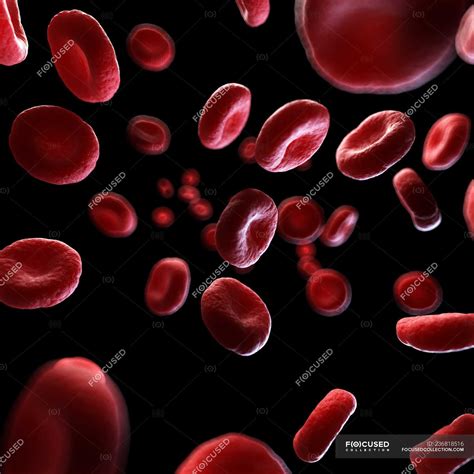 Illustration Of Human Blood Cells On Black Background — Medical Vein