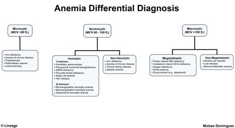 Anemia Overview Hematology Medbullets Step 1