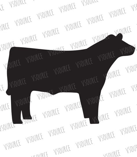 Show Steer Svg Show Cattle Svg Steer Clipart 4h Market
