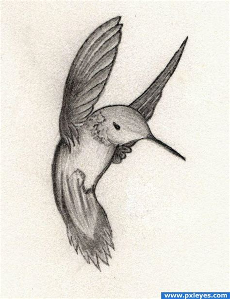 Small Bird Drawing At Getdrawings Free Download